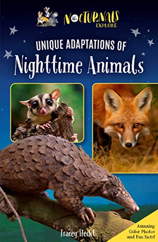 Unique Adaptations of Nighttime Animals