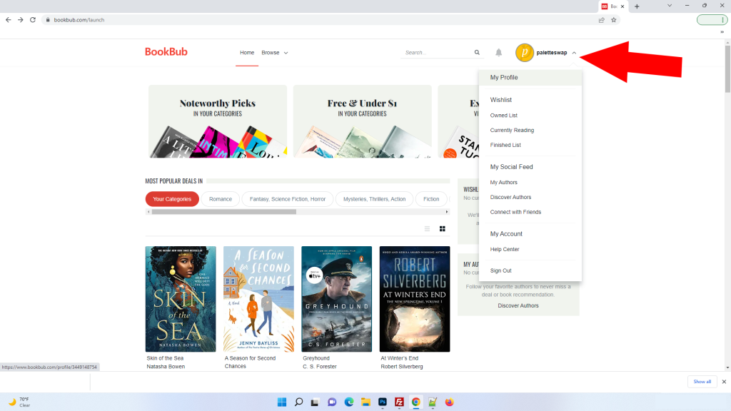 Bookbub Profile 2