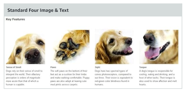 Multi Image Module & Text